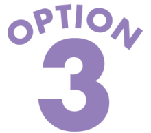 option 3